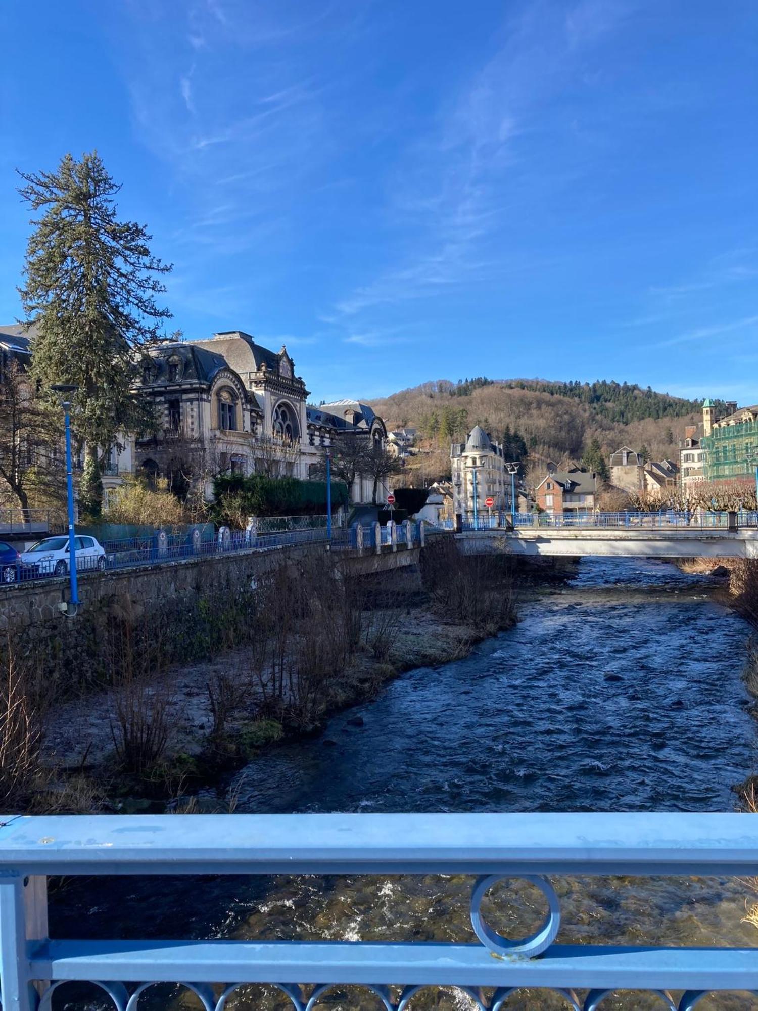 Appt Lumineux, Thermes Et Montagne La Bourboule Buitenkant foto