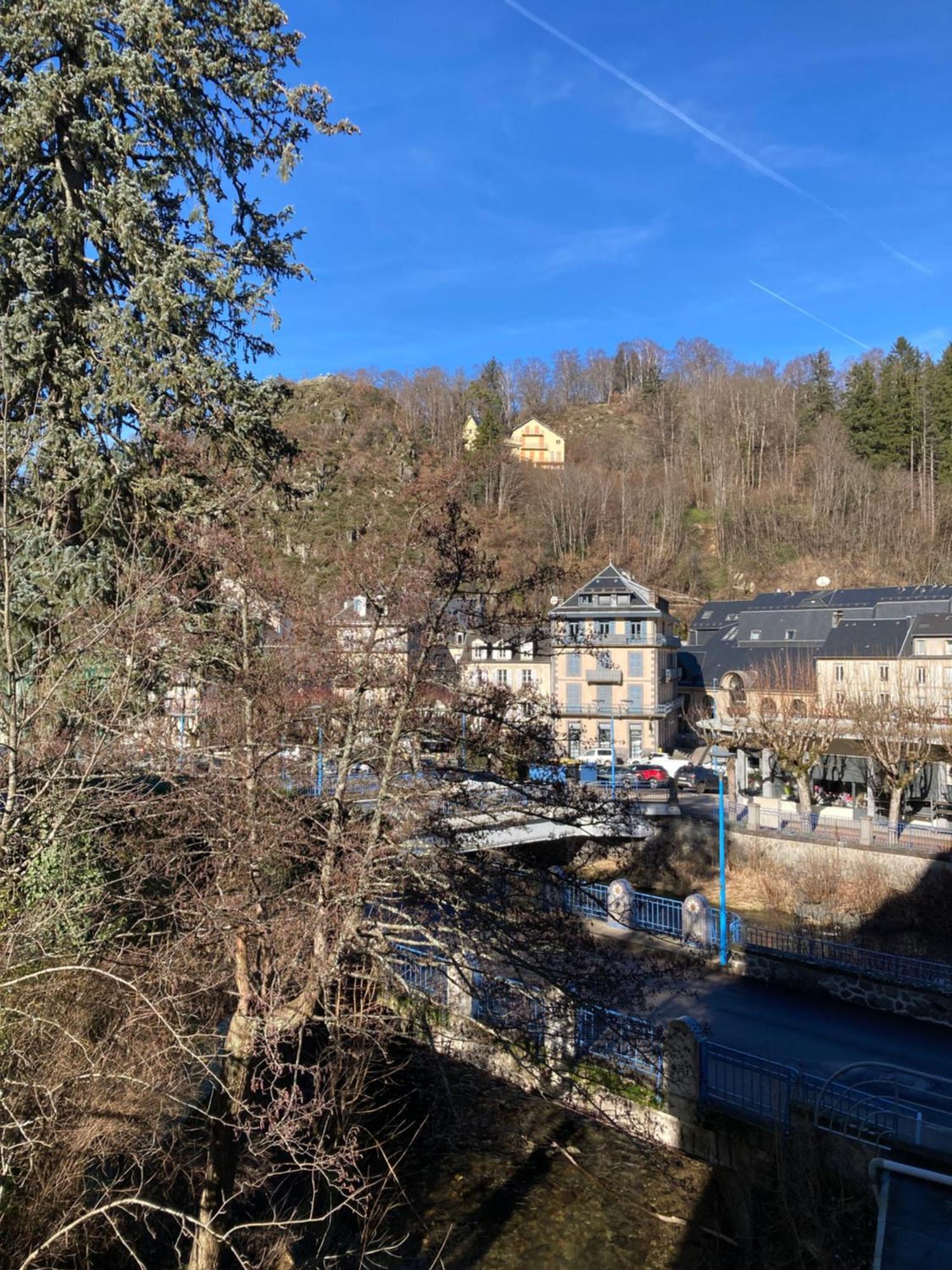 Appt Lumineux, Thermes Et Montagne La Bourboule Buitenkant foto